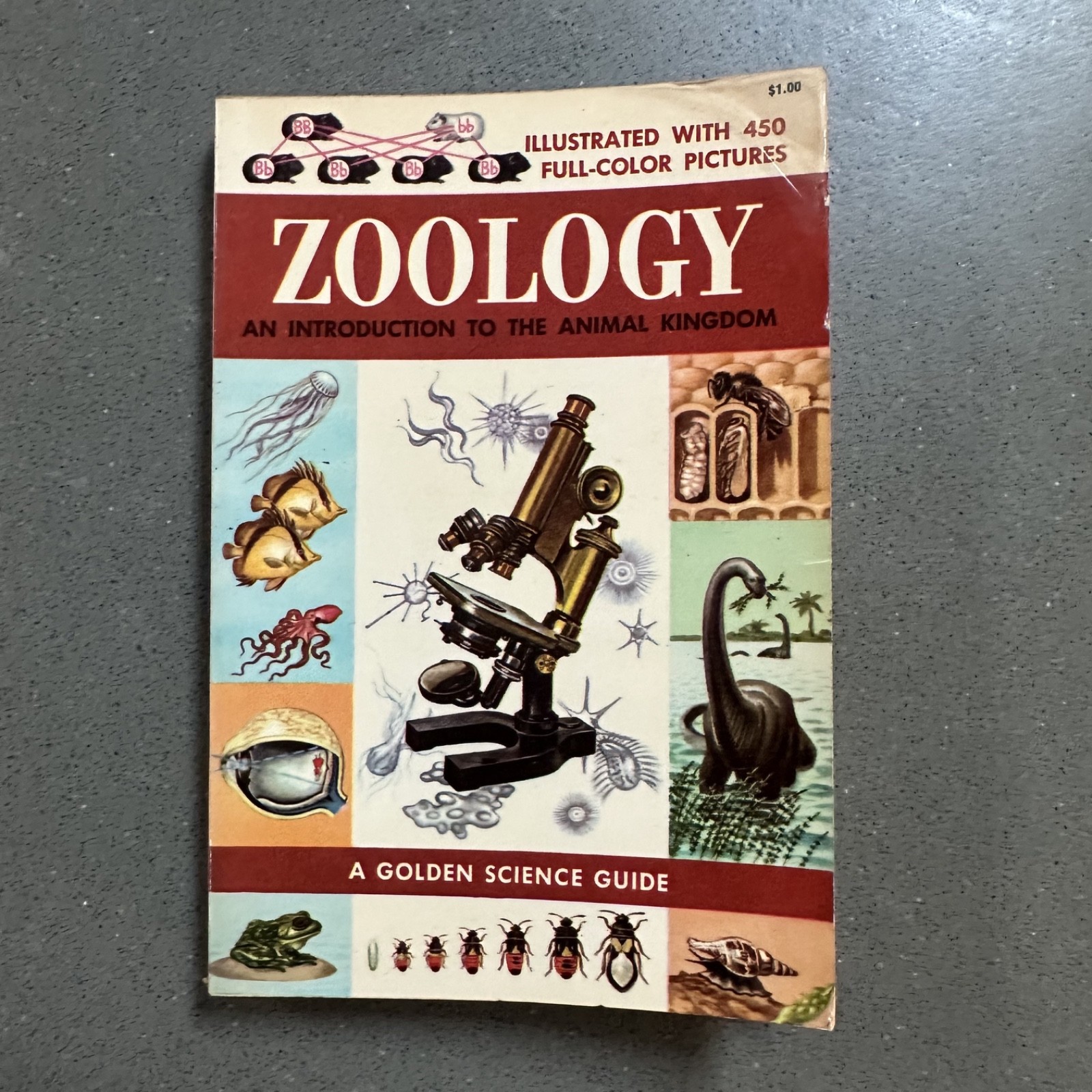 Zoology Golden Science Guide Herbert S Zim Vintage Nature Animal Kingdom PB