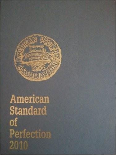 American Standard of Perfection 2010
