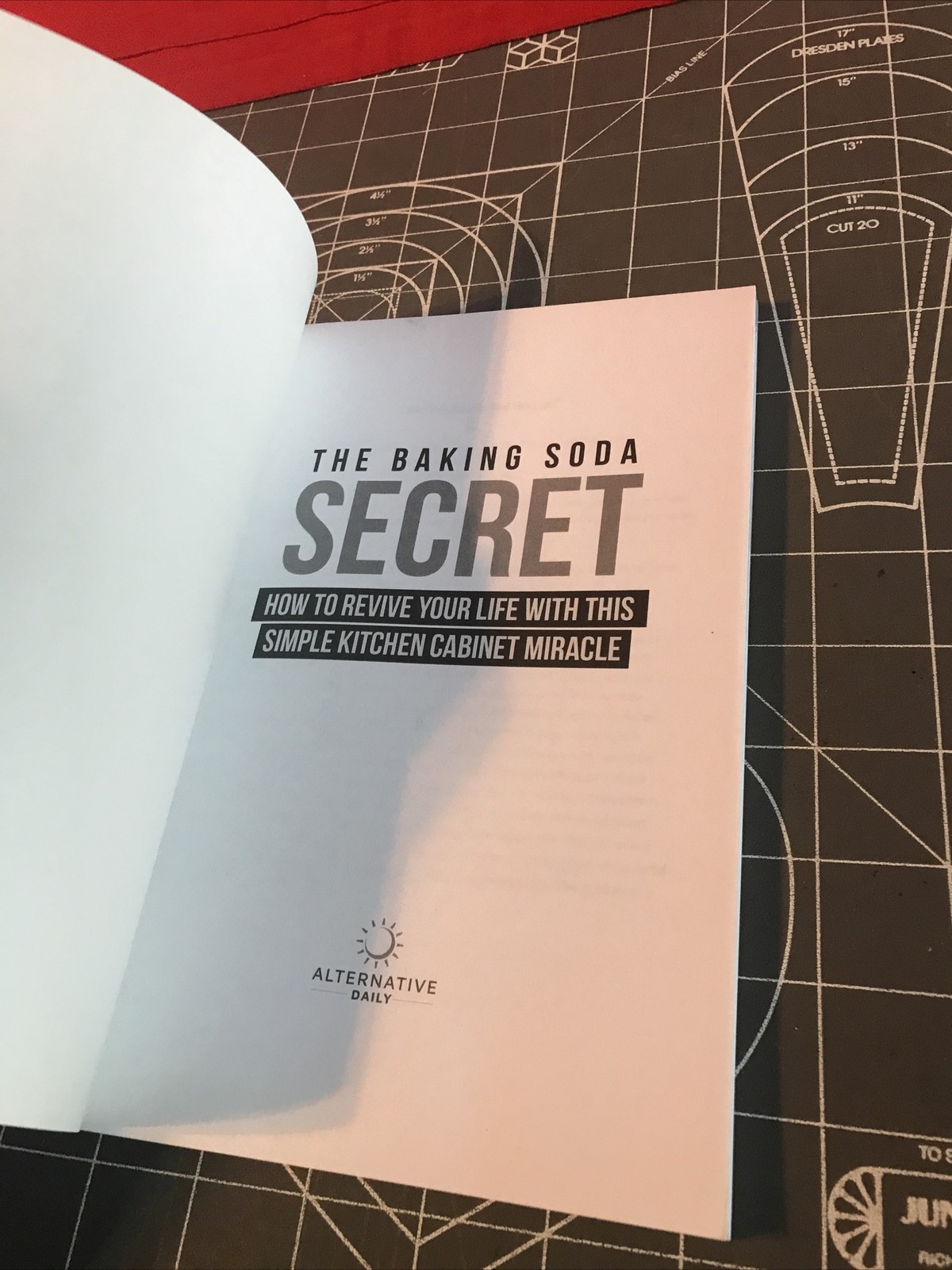 2018 1st Edition The Baking Soda Secret Alternative Daily