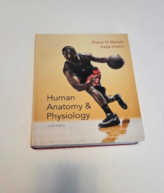 Human Anatomy & Physiology – Elaine N. Marieb & Katja Hoehn – Hardcover