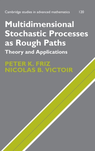 Friz – Multidimensional Stochastic Processes as Rough Paths – hardback – G555z