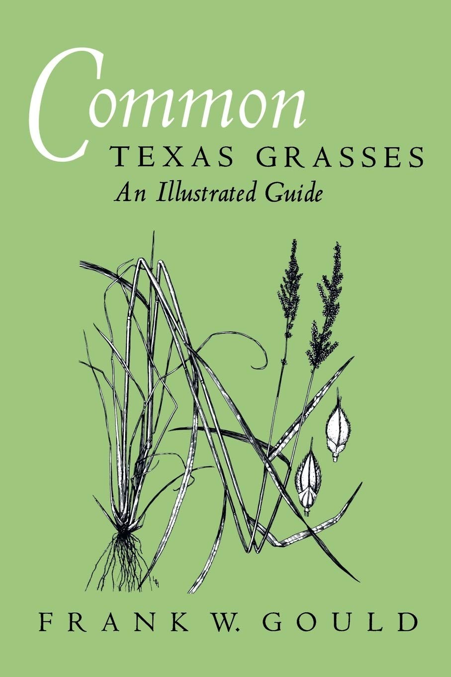 Common Texas Grasses: An Illustrated Guide (Volume 3) (W. L. Moody Jr. Natur…