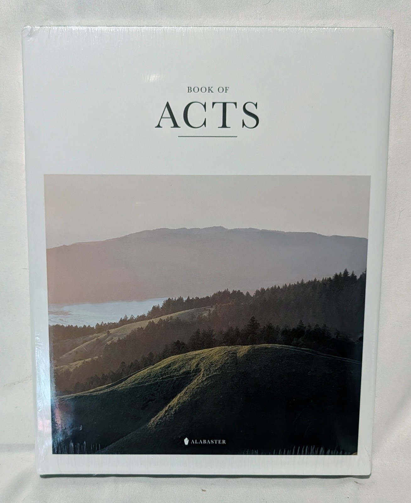 Book of Acts (HC,NLT) by Alabaster Co. 2021 Hardcover – Shrink Wrapped – NEW