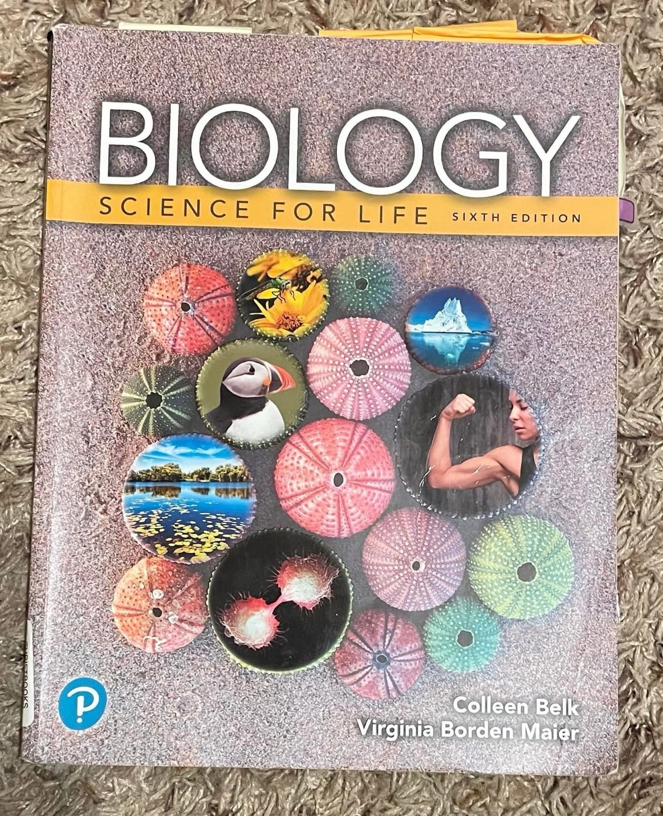 Biology: Science for Life with Physiology (6th Edition) (Belk, Border & M – GOOD
