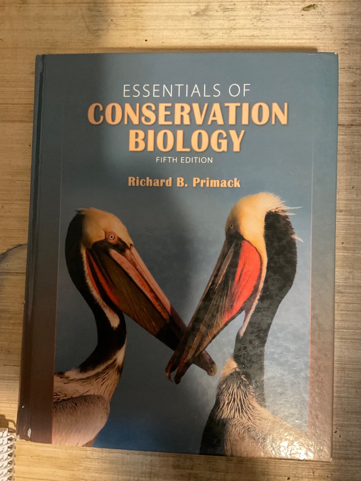 Essentials Of Conservation Biology 2010 Fifth Edition By Richard B. Primack
