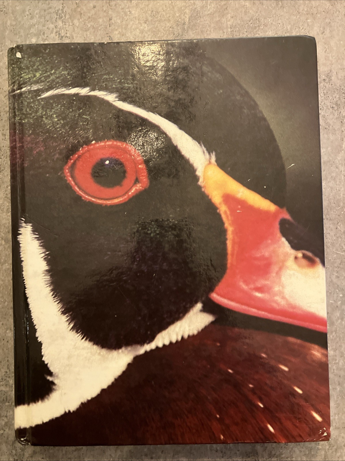 Biology Fifth Edition 1989 Hardback Helena Curtis N Sue Barnes.