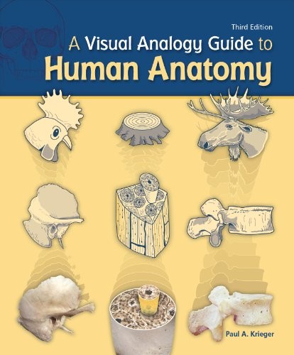 A Visual Analogy Guide to Human Ana…, Krieger, Paul A