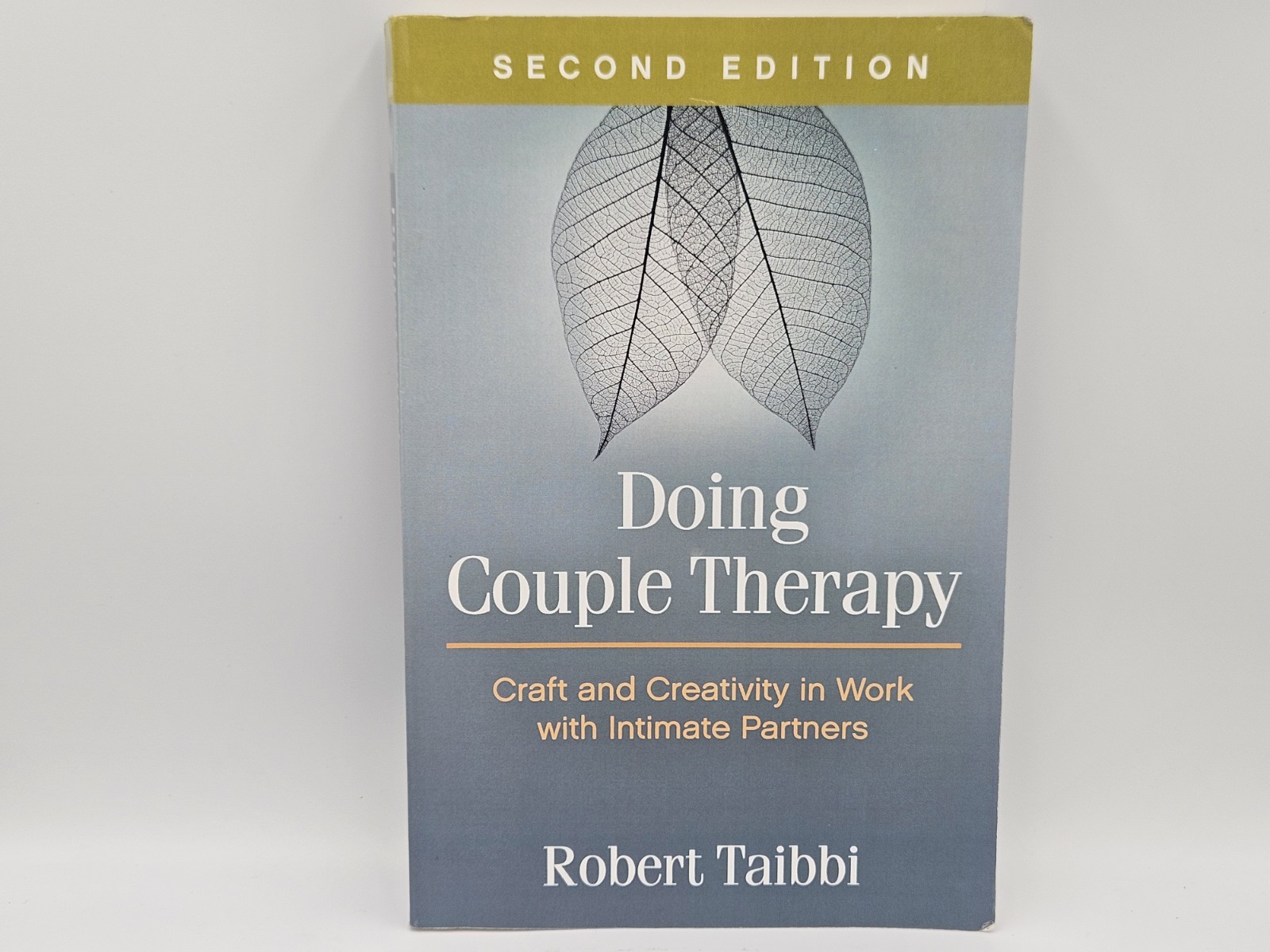 Doing Couple Therapy Second Edition By Robert Taibbi