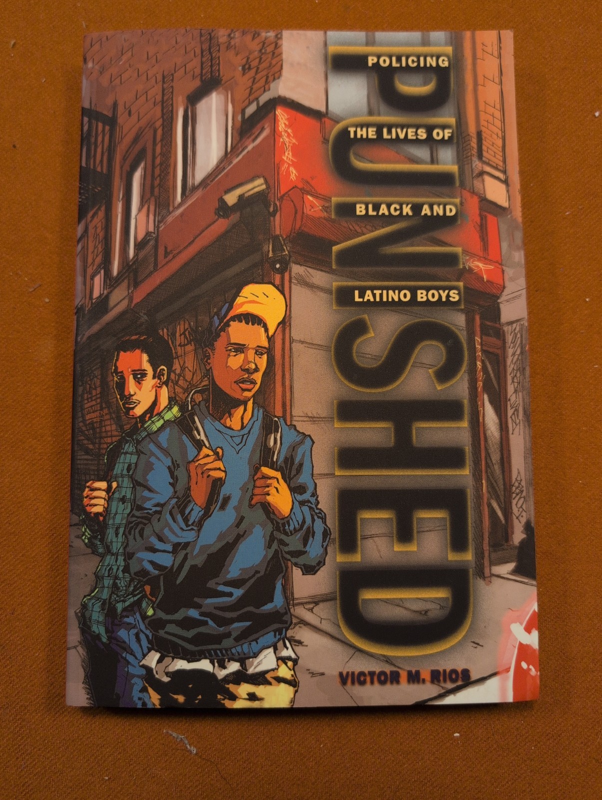 New Perspectives in Crime, Deviance, and Law Ser.: Punished : Policing the Lives