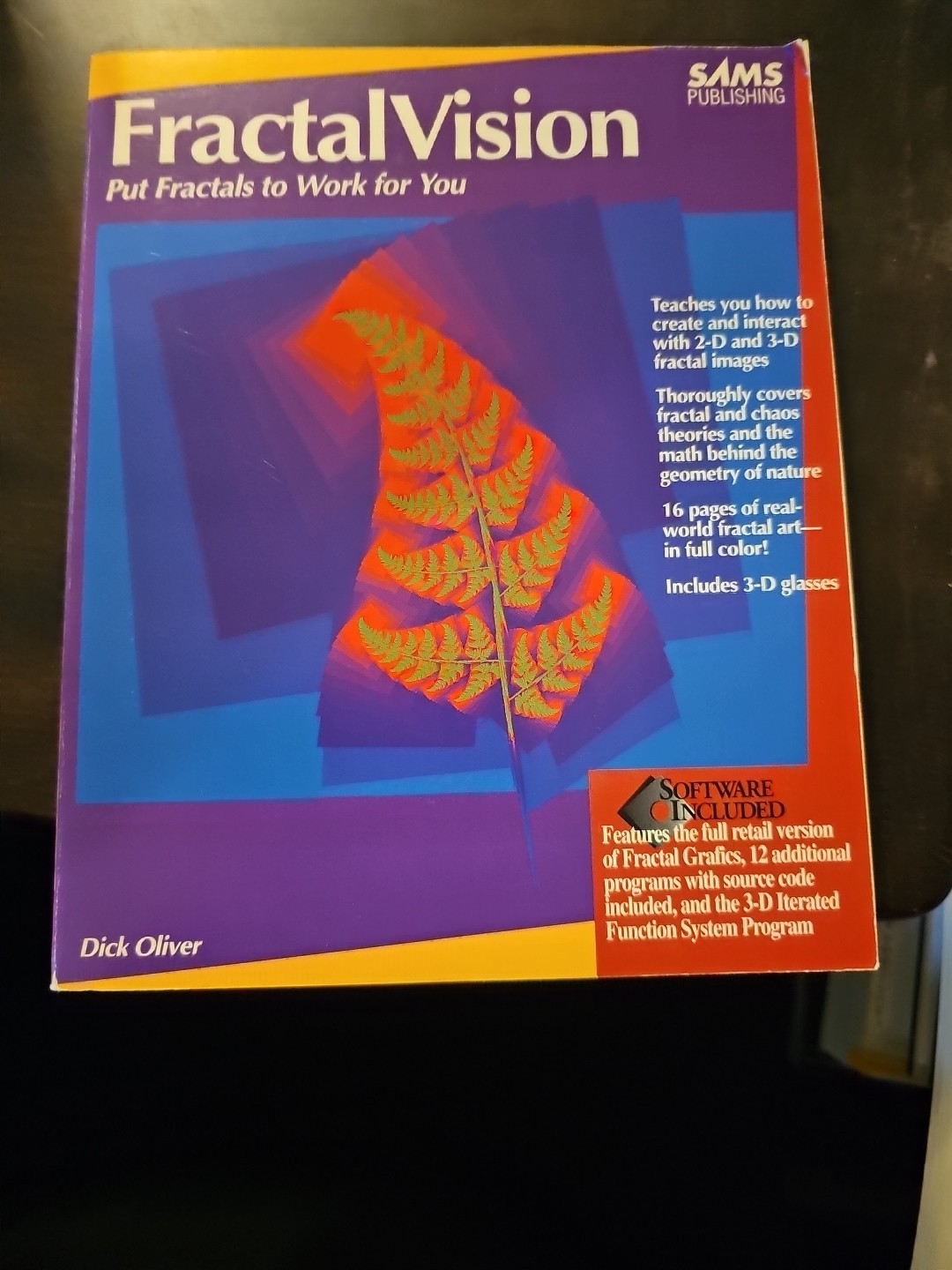 Fractals : Not Just a Pretty Picture by Dick Oliver (1992, Hardcover)