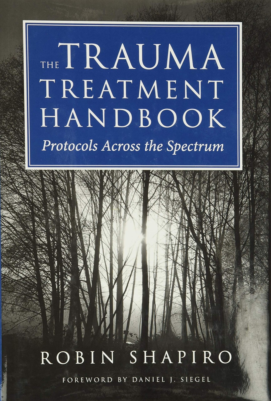 The Trauma Treatment Handbook: Protocols Across the Spectrum (Norton Professiona