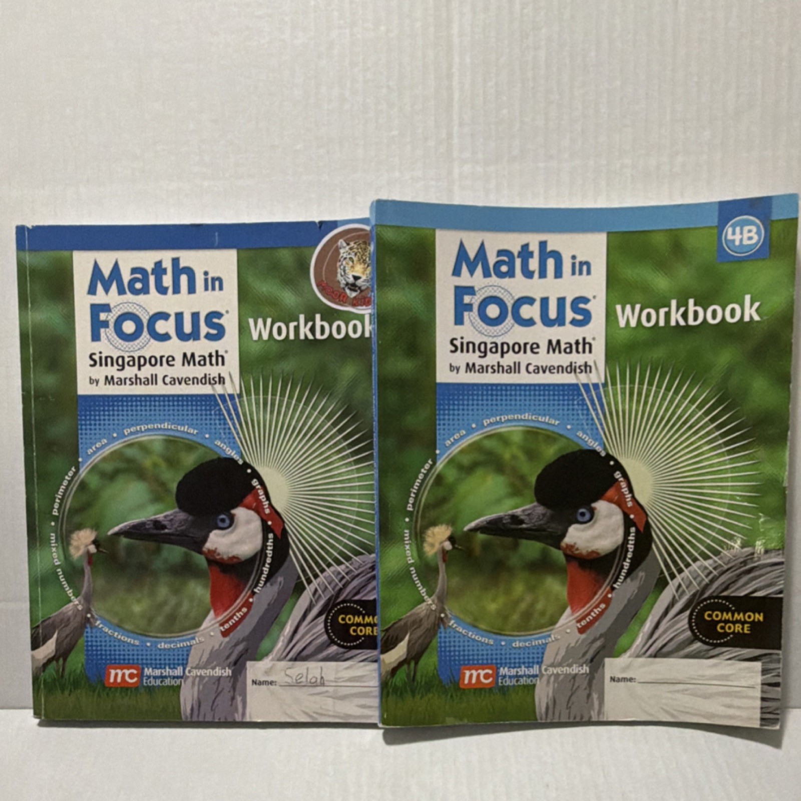 Marshall Cavendish Math in Focus Singapore Math Workbook 4A/4B slight writing