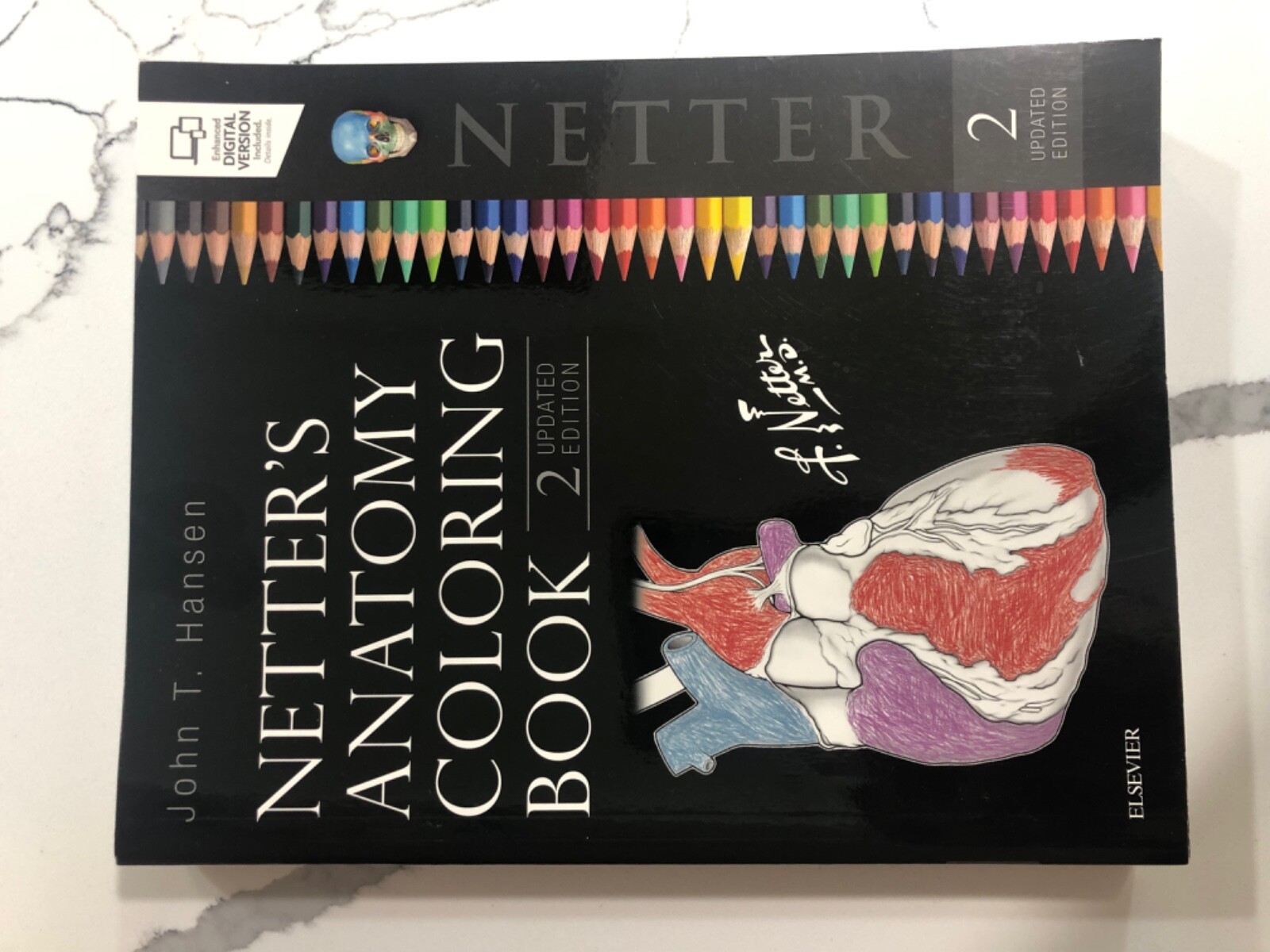 netters anatomy coloring book