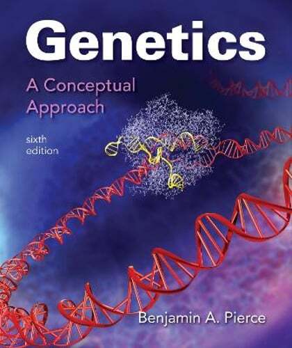 Genetics: A Conceptual Approach by Benjamin A Pierce: Used