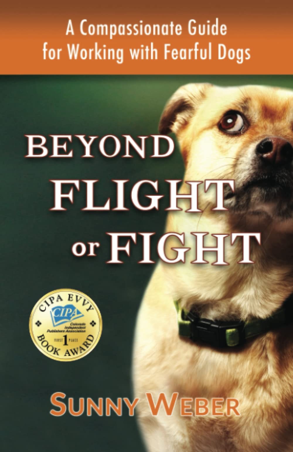 Beyond Flight or Fight: A Compassionate Guide for Working with Fearful Dogs