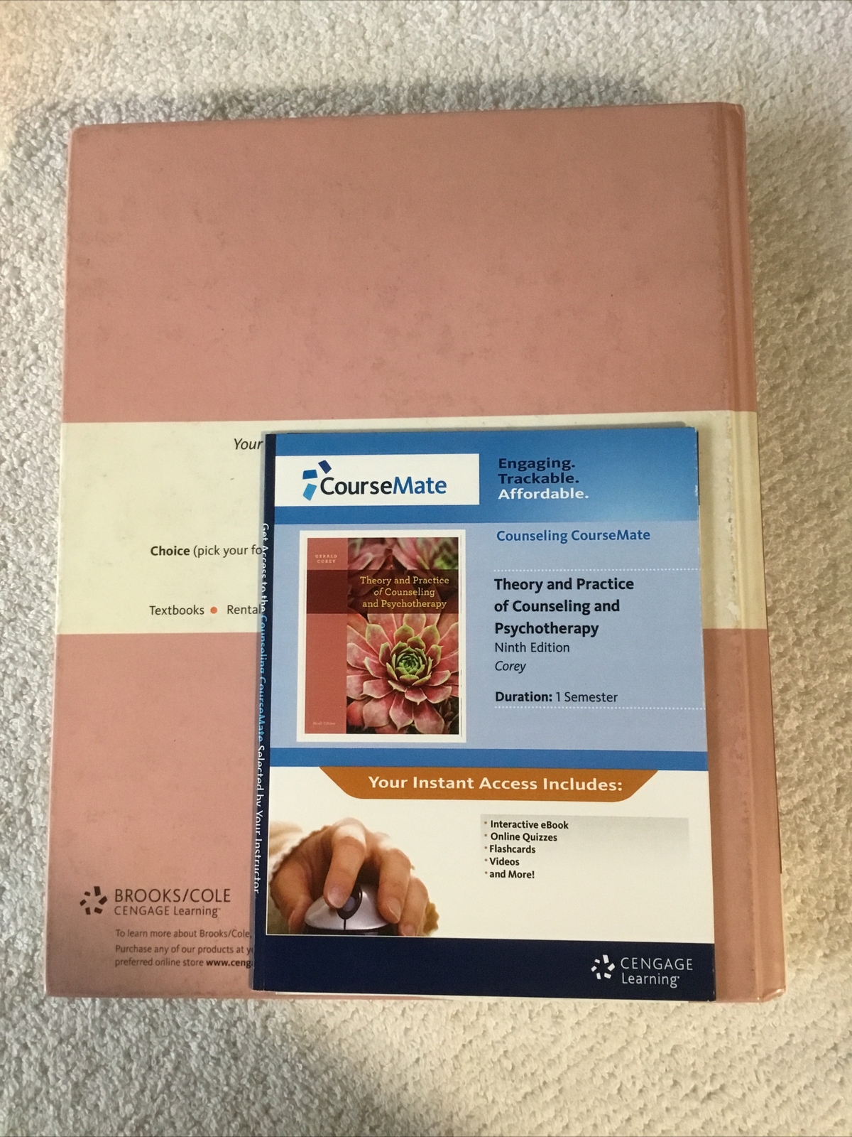 Theory And Practice Of Counseling And Psychotherapy With Access Code 14A