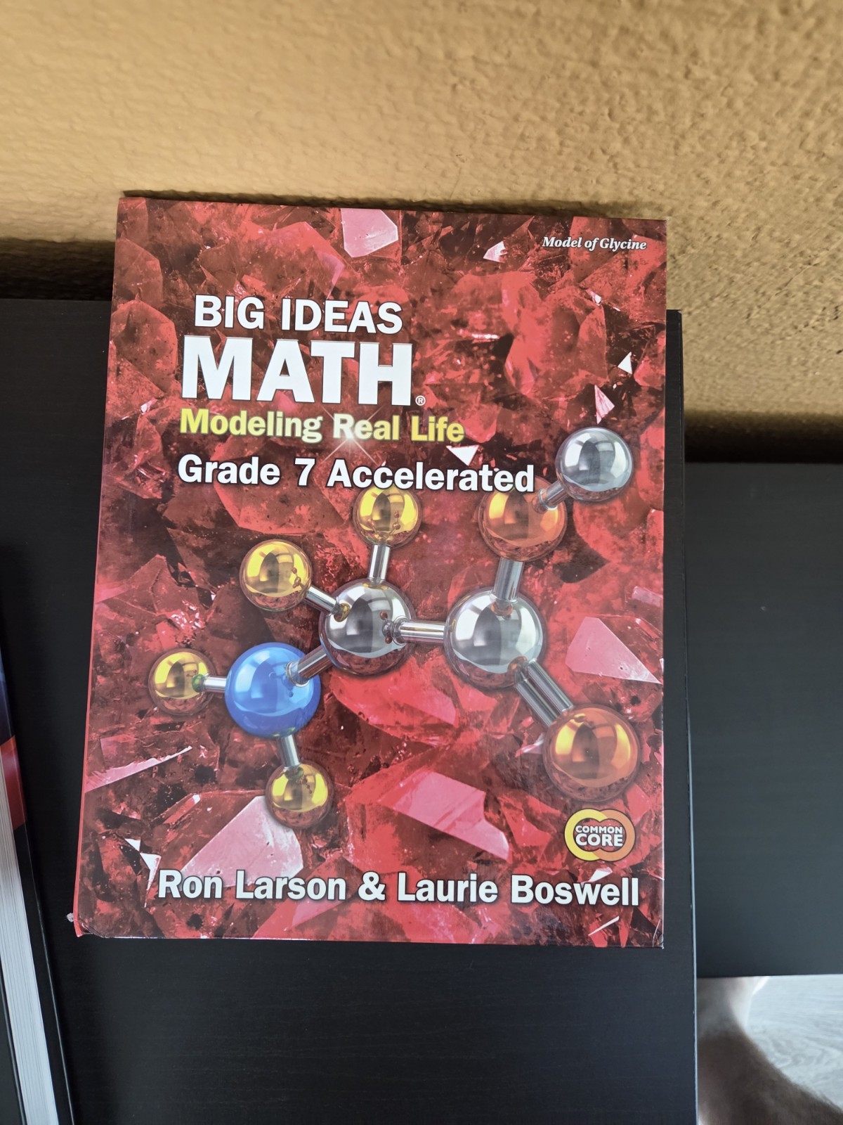 Big Ideas Math: Modeling Real Life Common Core – Hardcover, Grade 7 Accelerated