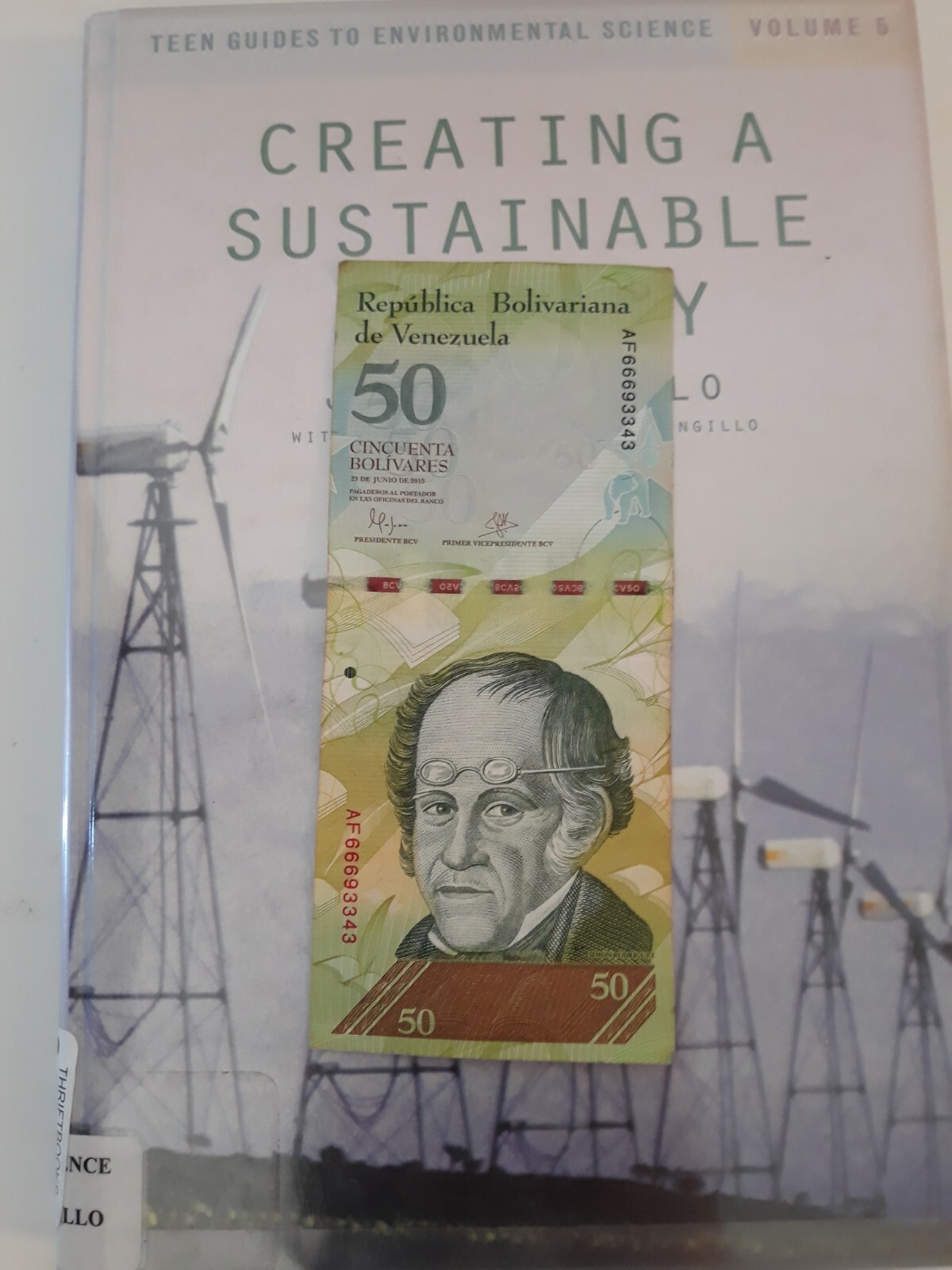 Teen Guides to Environmental Science: Creating a Sustainable Society, Volume V