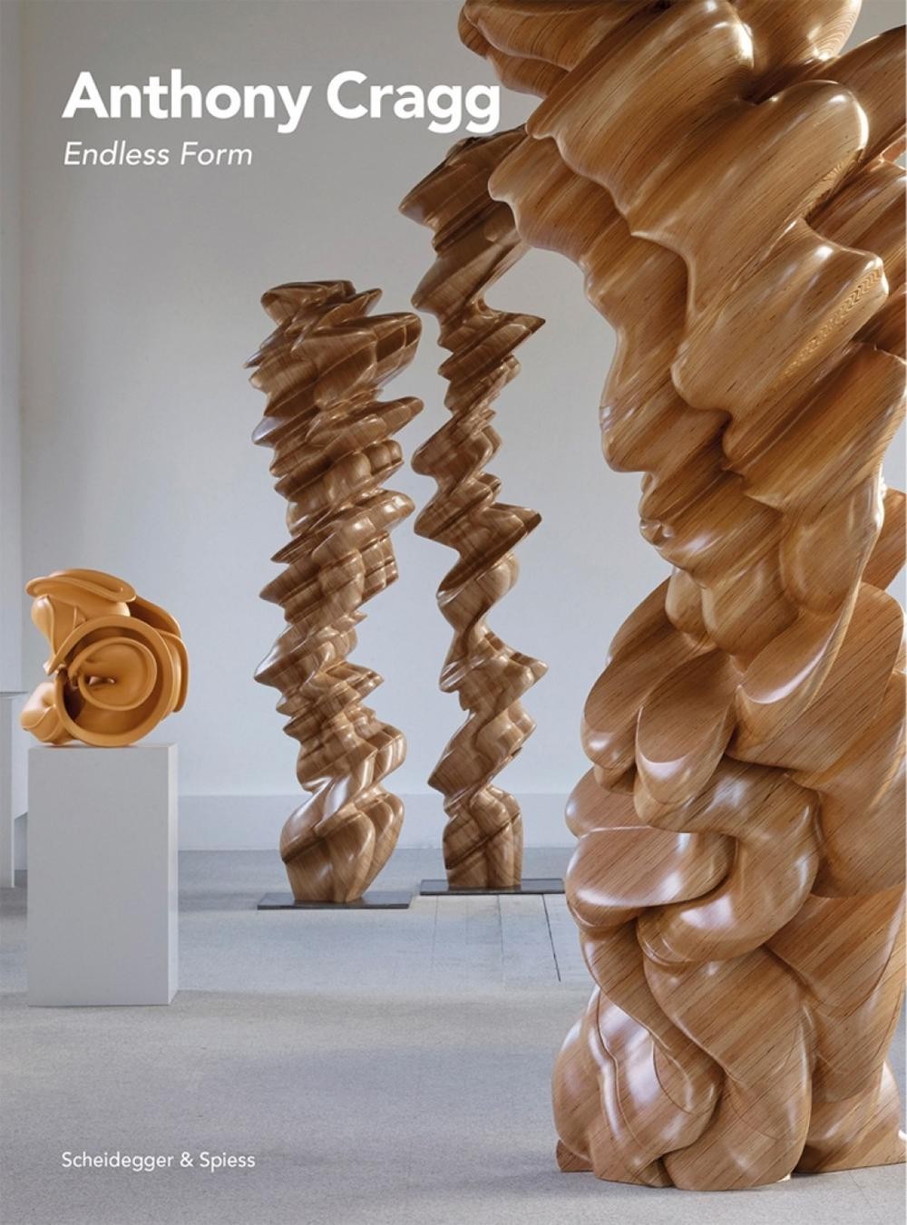 Anthony Cragg: Endless Form by Giuliana Altea (English) Paperback Book