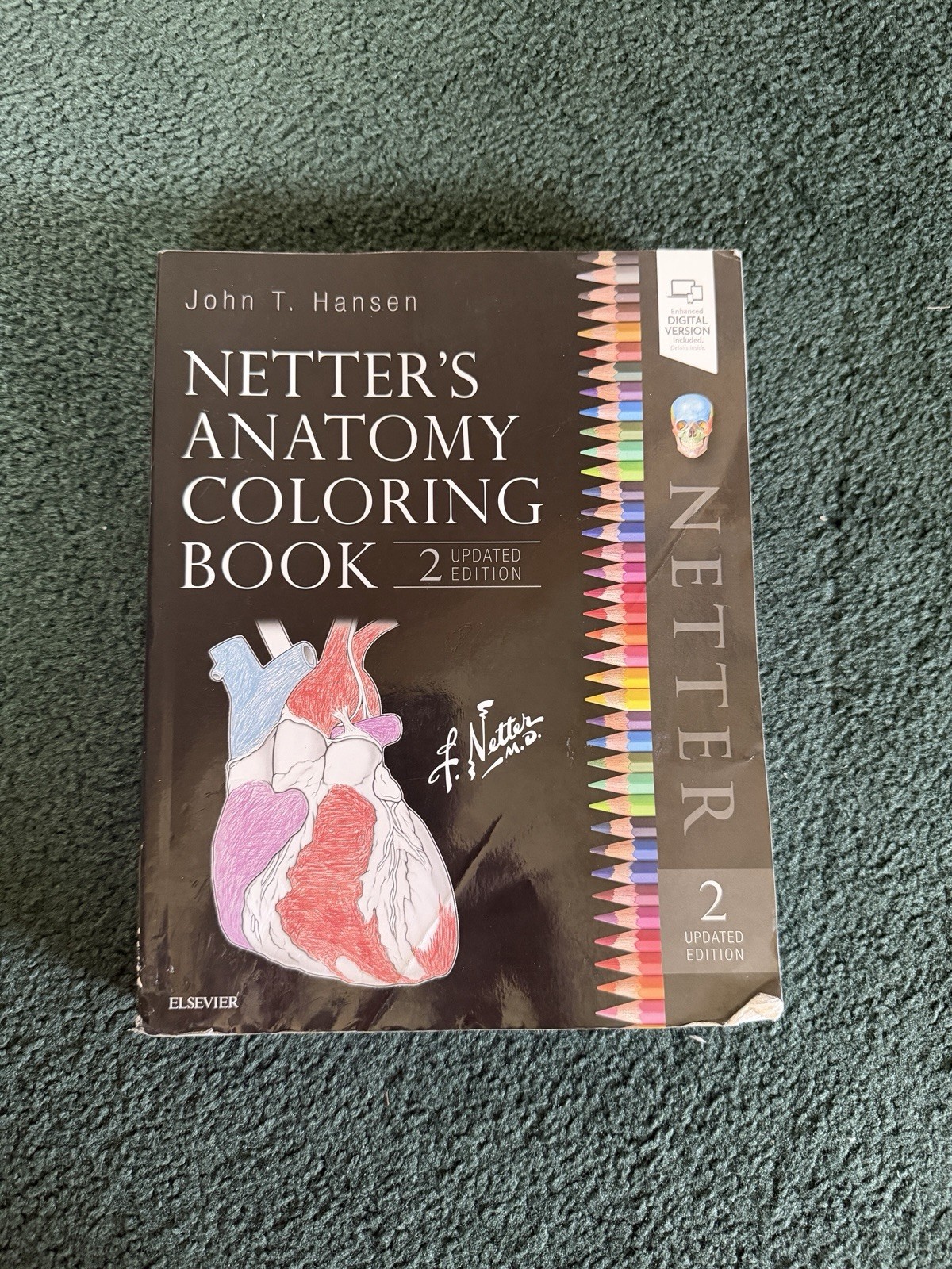 Netter’s Anatomy Coloring Book Updated Edition by John T. Hansen