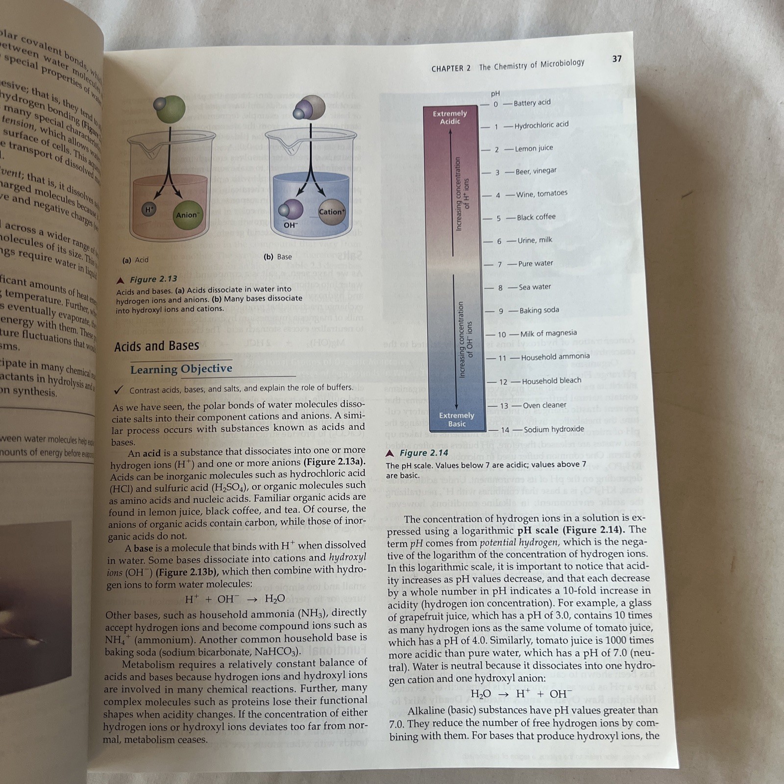 Microbiology with Diseases by Taxonomy by Bauman, Robert W., PH.D. W/ CD ROM
