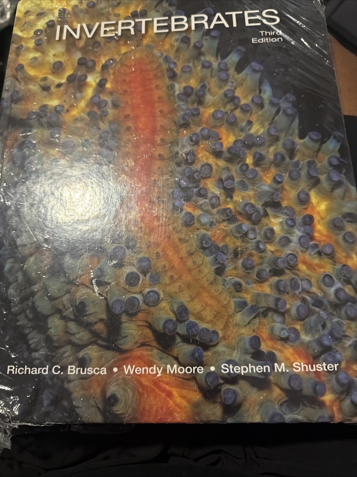 Invertebrates by Richard C. Brusca: Used