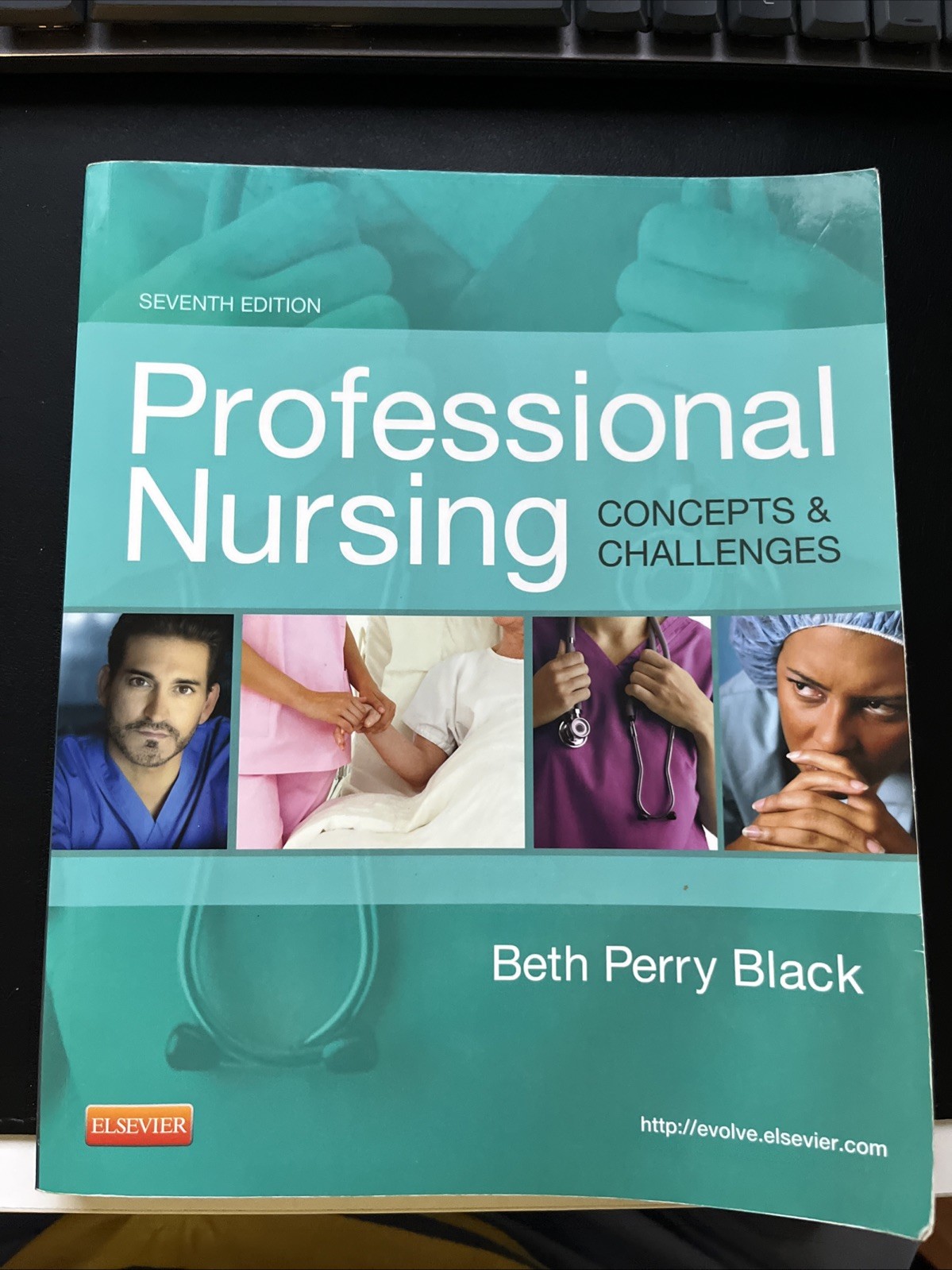 Professional Nursing: Concepts and Challenges by Beth Black (2013, Paperback)