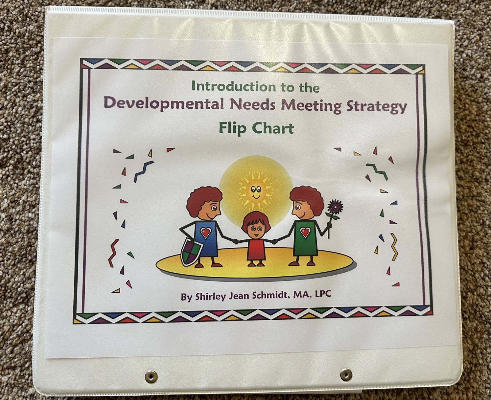 Introduction to the Developmental Needs Meeting Strategy Flip Chart by Schmidt