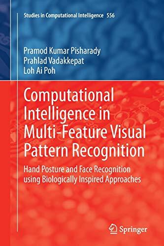 Computational Intelligence in Multi-Feature Visual Pattern Recognition : Hand-,