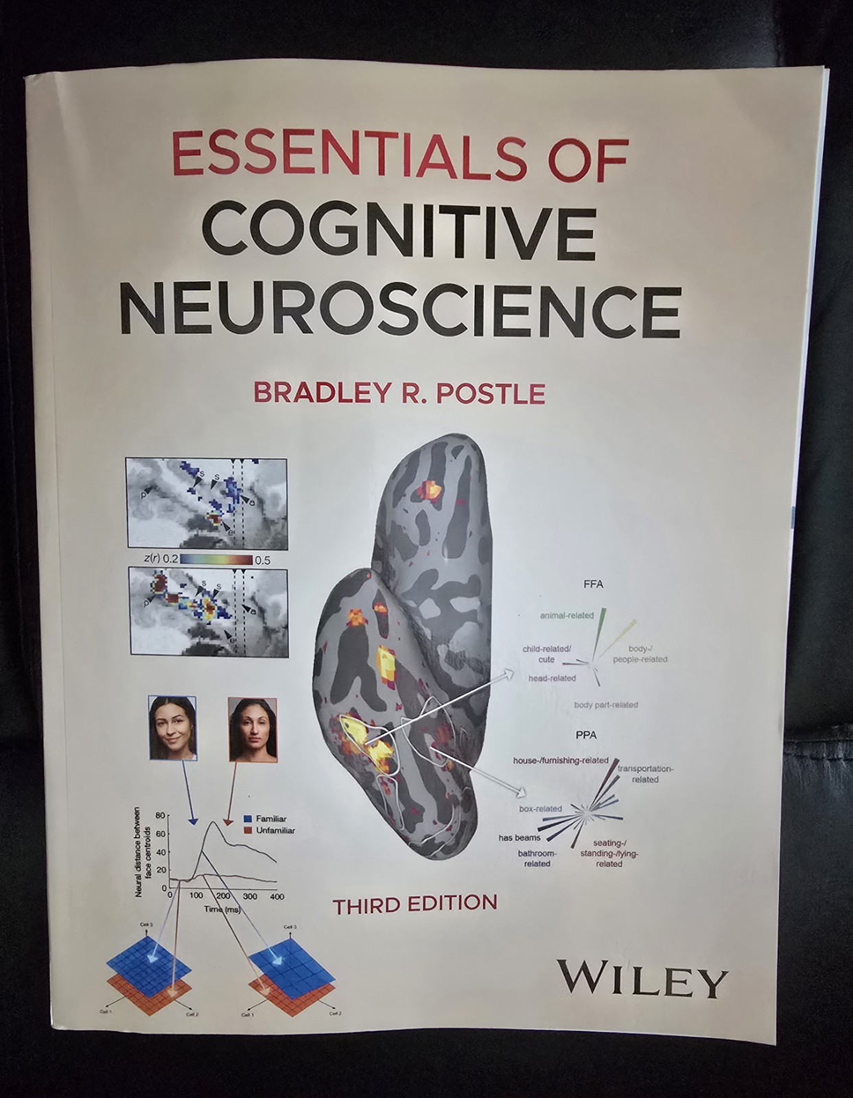 Essentials of Cognitive Neuroscience by Bradley R. Postle 2026, Trade Paperback
