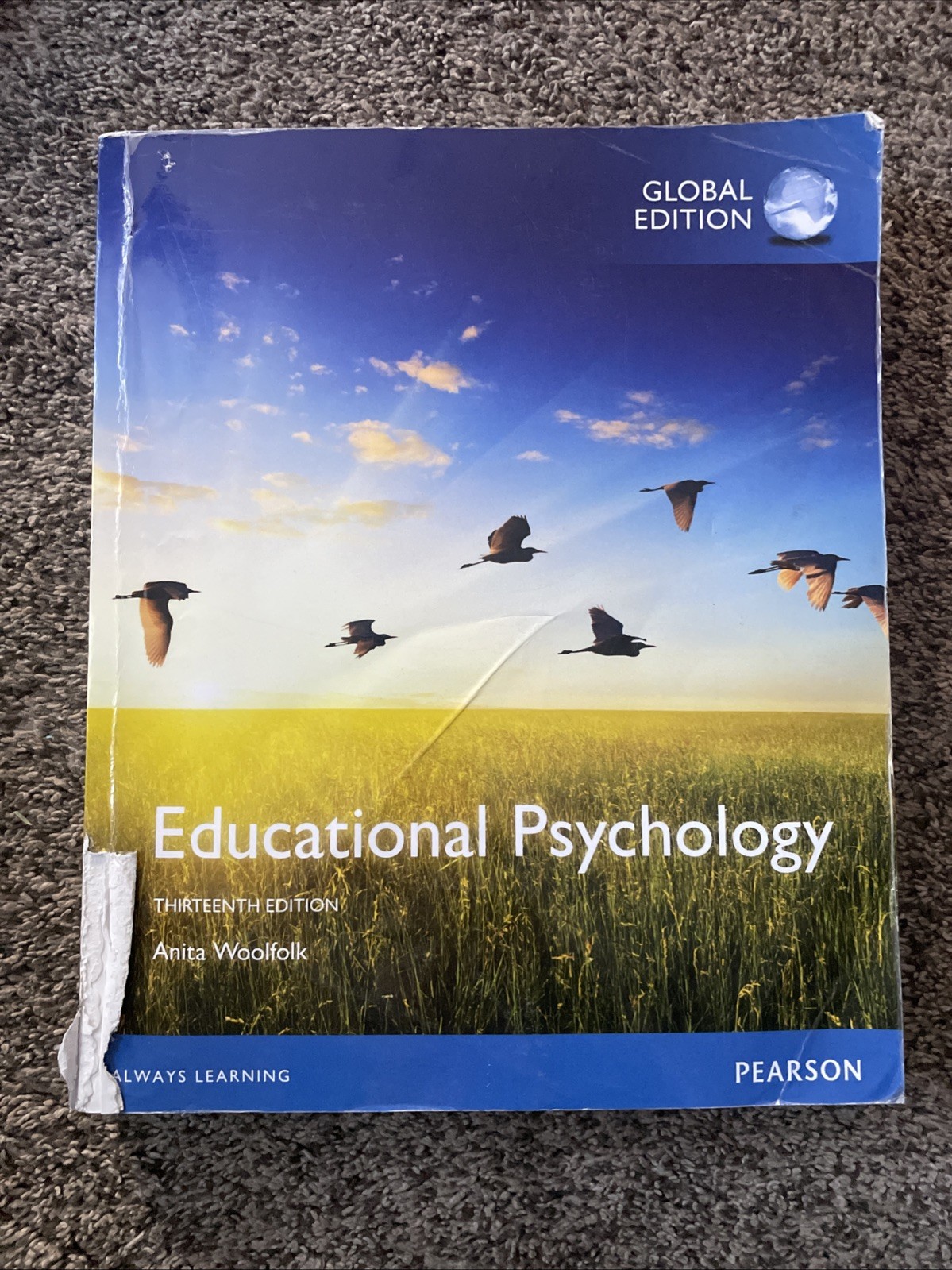 EDUCATIONAL PSYCHOLOGY, GLOBAL EDITION By Anita Woolfolk *Excellent Condition*