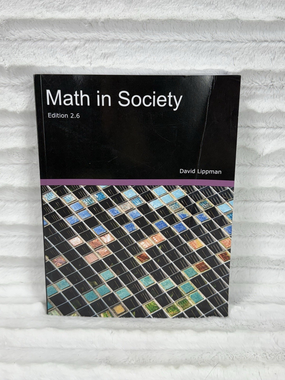 Math in Society – Paperback, by Lippman David – Edition 2.5