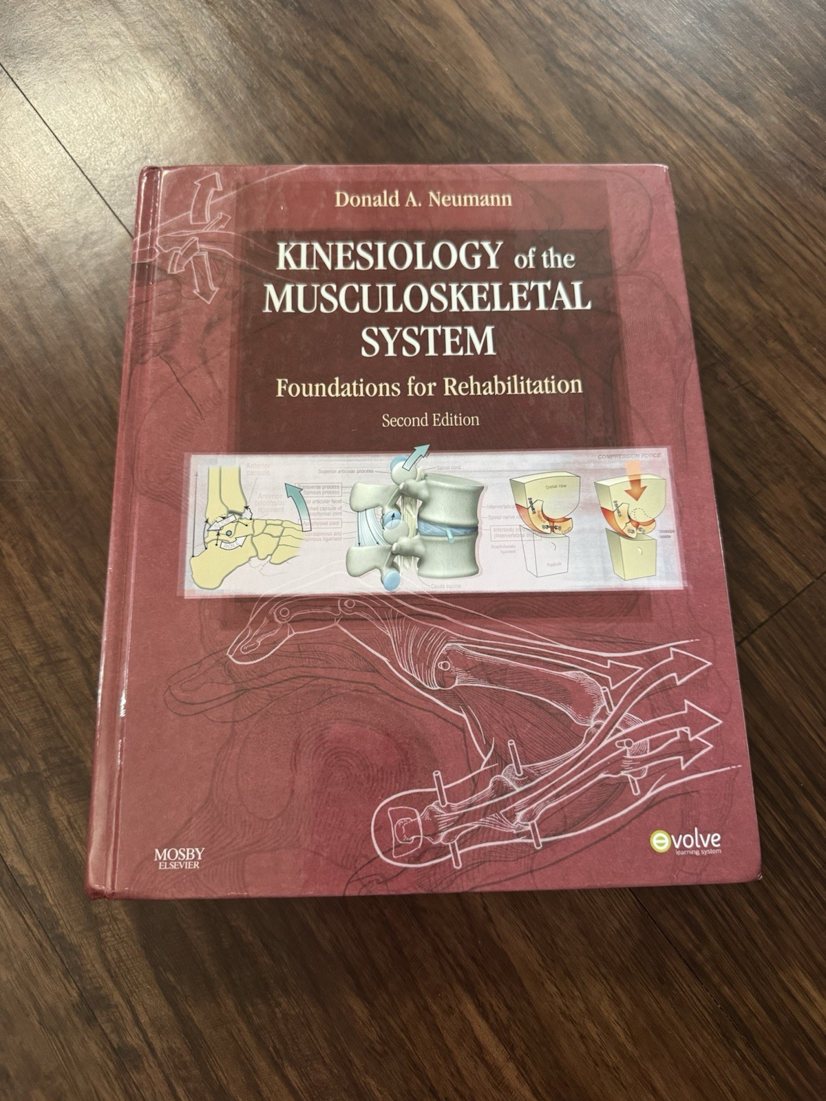 Kinesiology of the Musculoskeletal System Foundations for Rehabilitation 2nd Ed