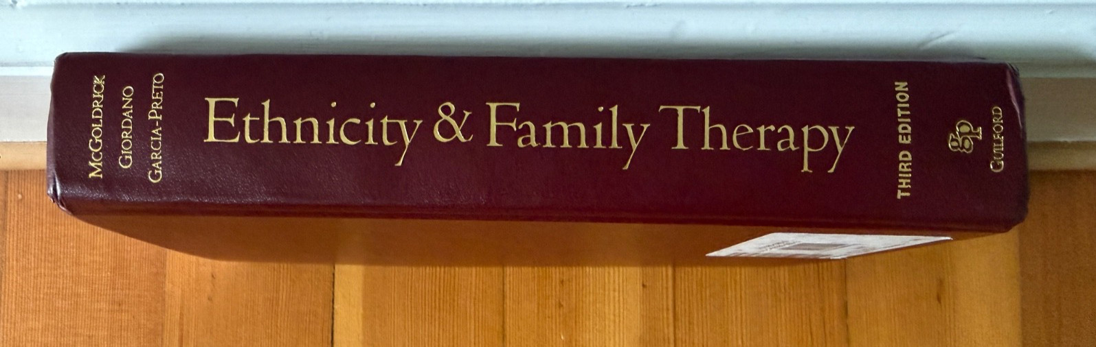 Ethnicity and Family Therapy Third Edition Hardcover Textbook