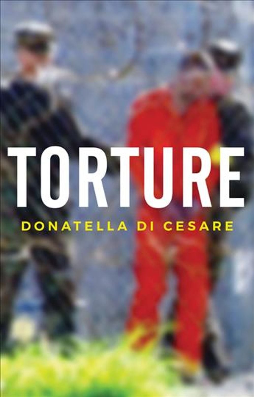 Torture by Donatella Di Cesare (English) Hardcover Book