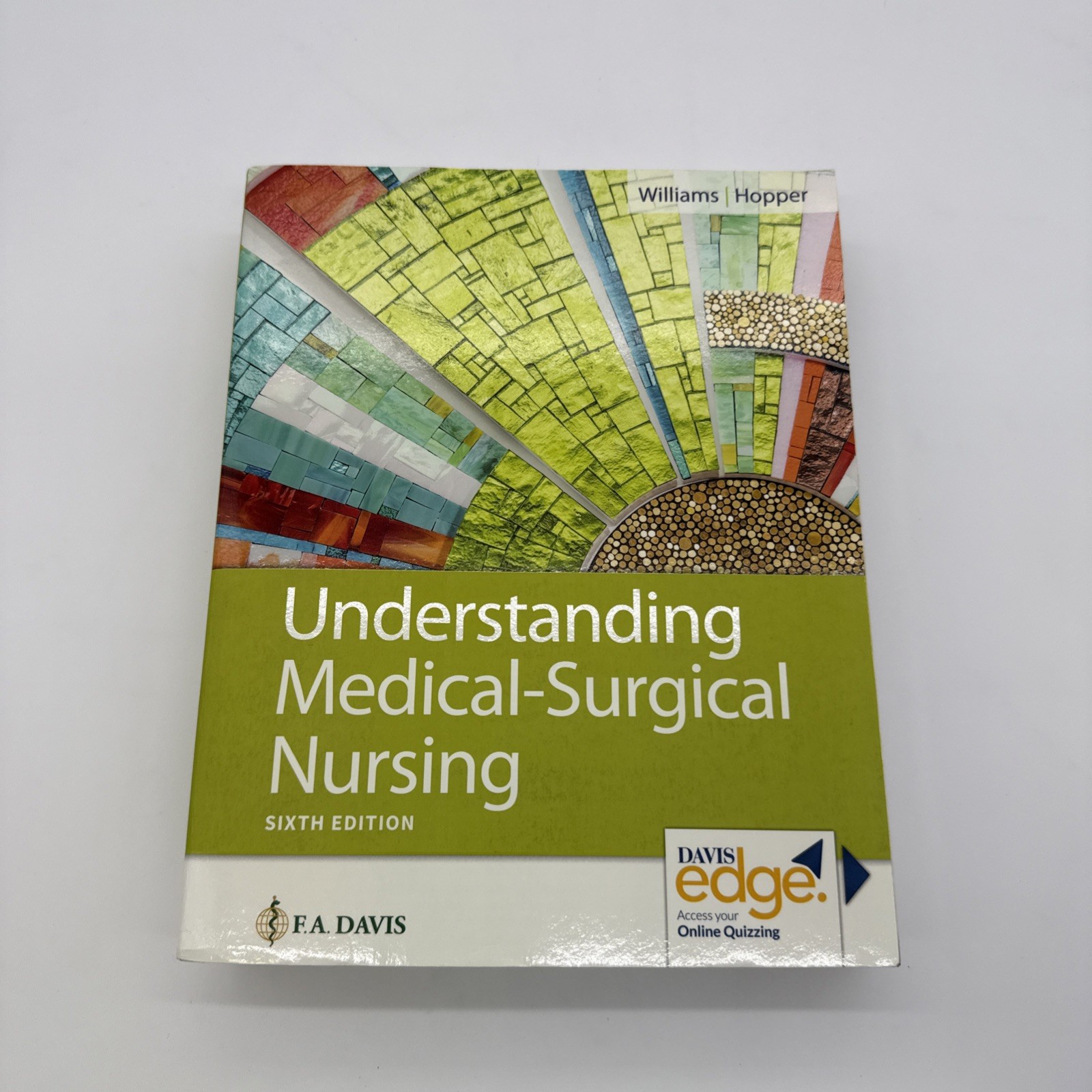 Understanding Medical-Surgical Nursing by Williams, Linda S.; Hopper, Paula D.