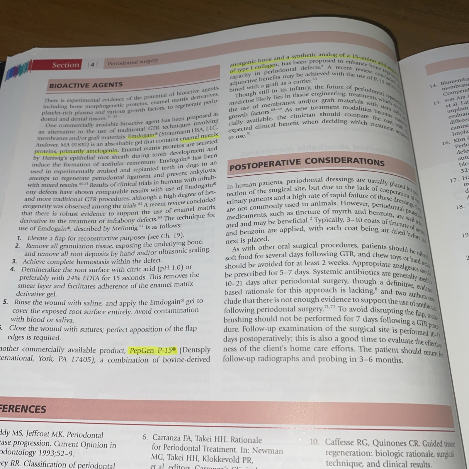 Oral and Maxillofacial Surgery in Dogs and Cats by Verstraete/Lommer