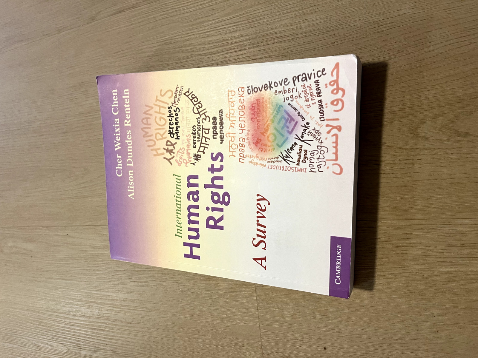 International Human Rights : A Survey by Alison Dundes Renteln and Cher…