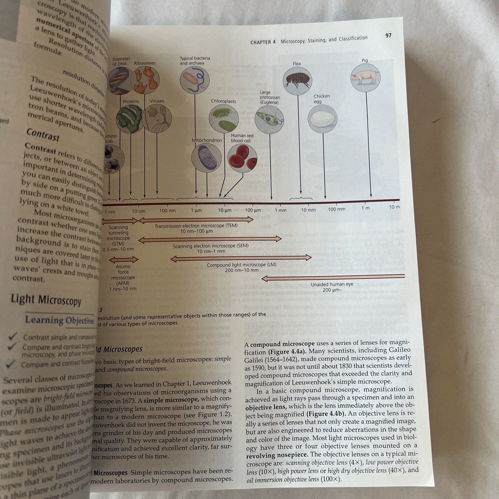 Microbiology with Diseases by Taxonomy by Bauman, Robert W., PH.D. W/ CD ROM