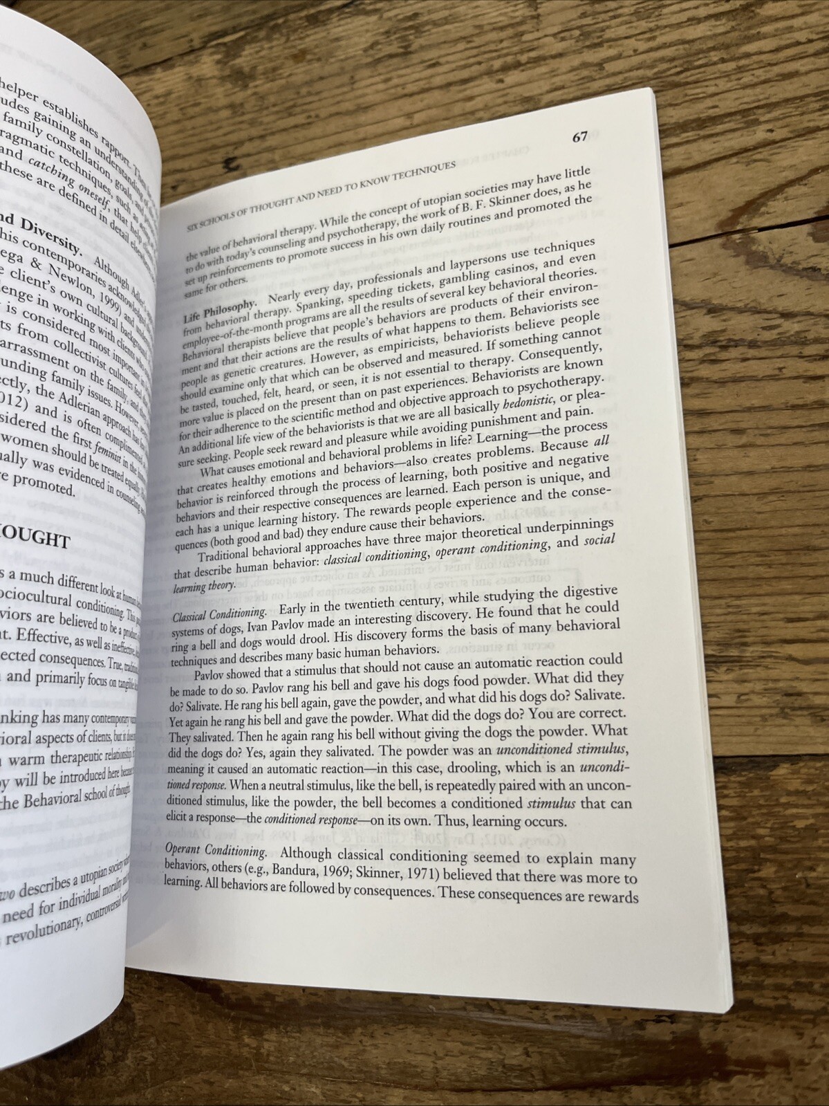 Developing Your Theoretical Orientation in Counseling and Psychotherapy by Duane