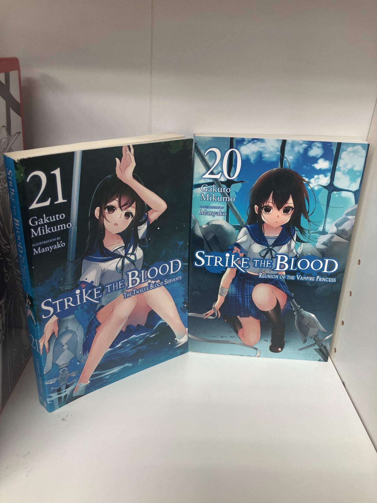 Strike the Blood, Vol. 20,21 (2 light novel) Paperback – March 22, 2022