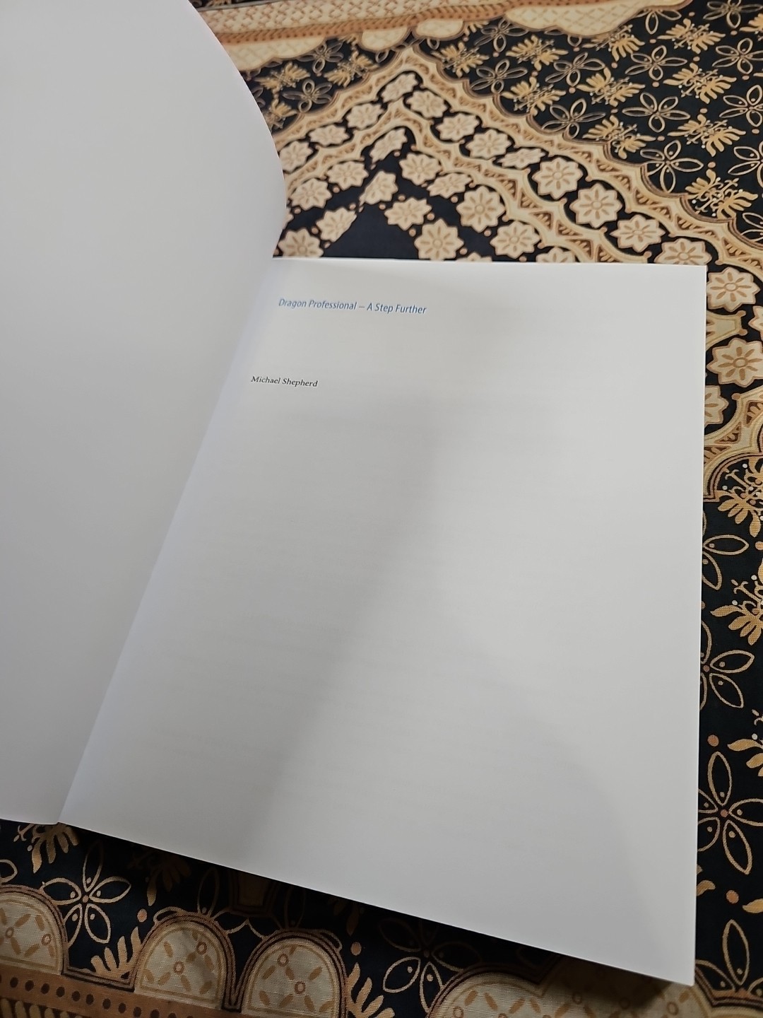 BRAND NEW Dragon Professional – A Step Further PB BOOK (c) 2021 Michael Shepherd