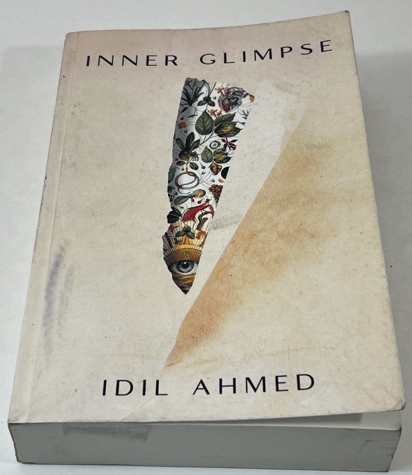 Inner Glimpse by Idil Ahmed