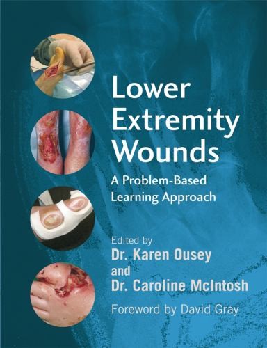 Lower Extremity Wounds: A Problem-Based Approach Paperback / softback Book The