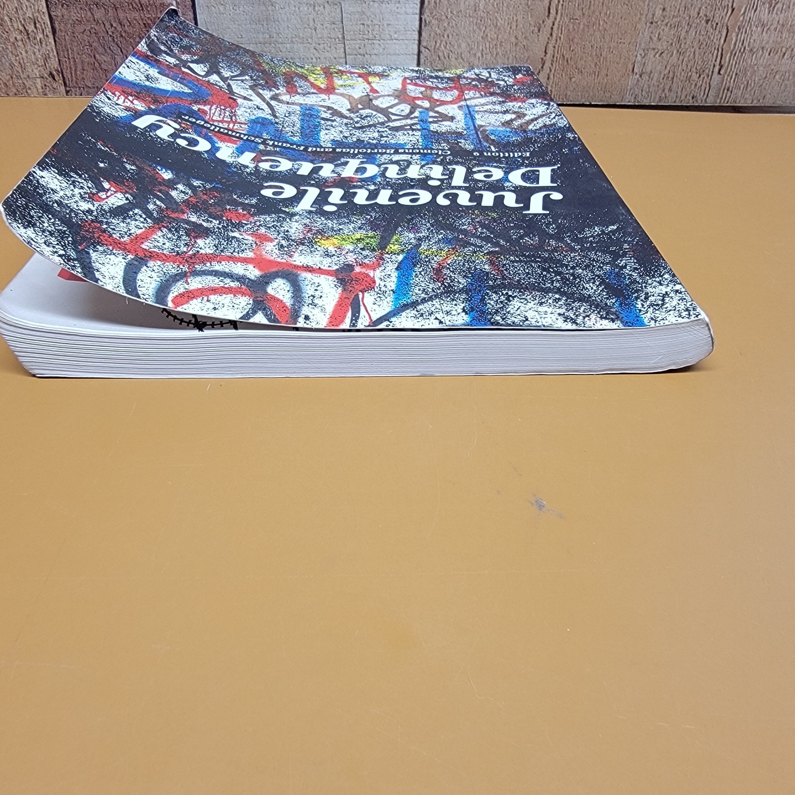 Juvenile Delinquency Edition 9 Bartollas Schmalleger Pearson Paperback