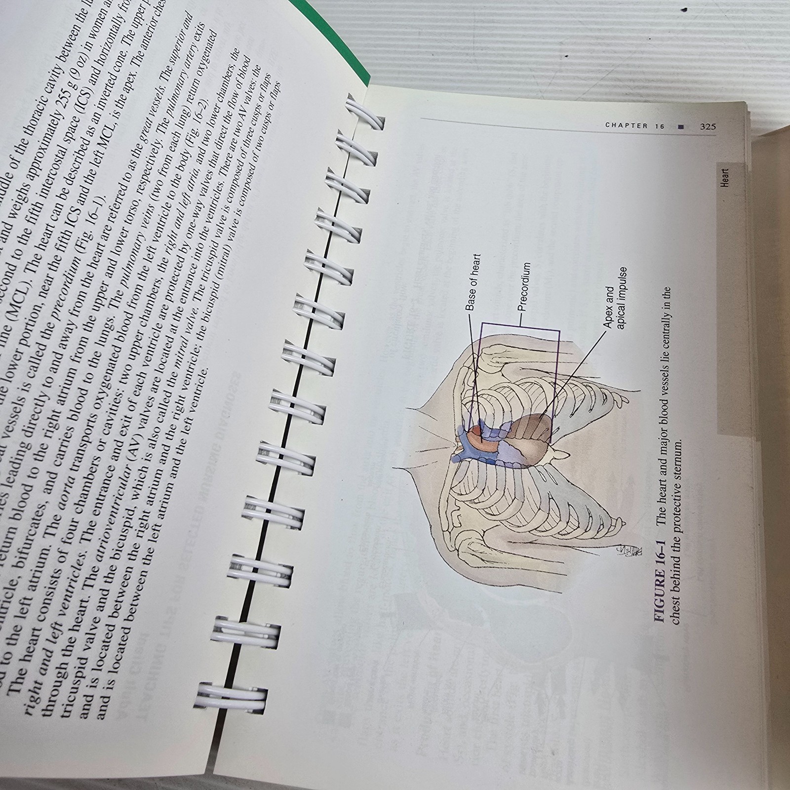 Nurses’ Handbook of Health Assessment by Janet R. Weber (English) Spiral Book