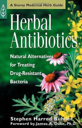 Herbal Antibiotics: Natural Alternatives for Treating Drug-Resistant Bact – GOOD