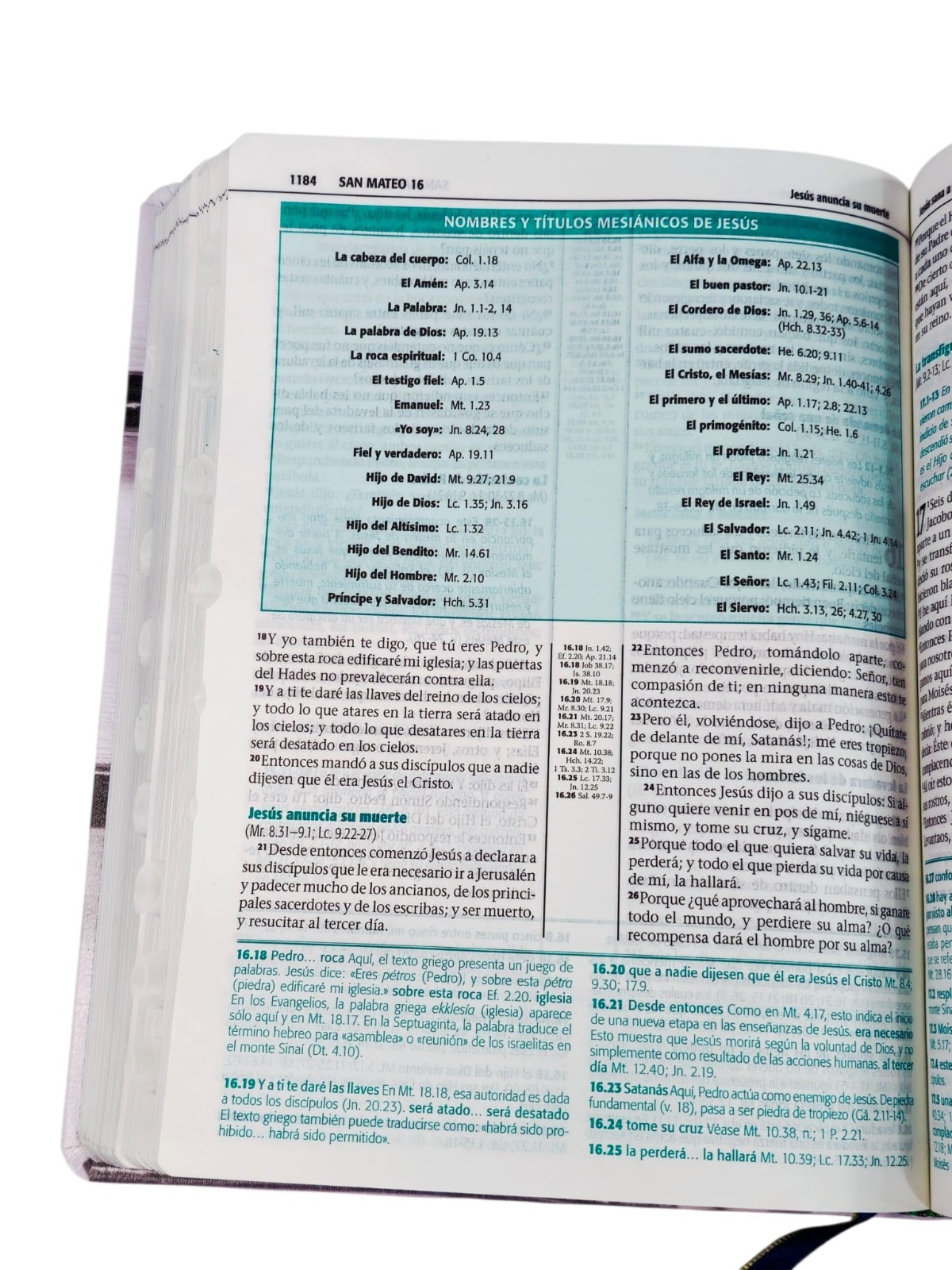 Biblia de Estudio Esquematizada Letra Grande RV1960, imit. piel con índice