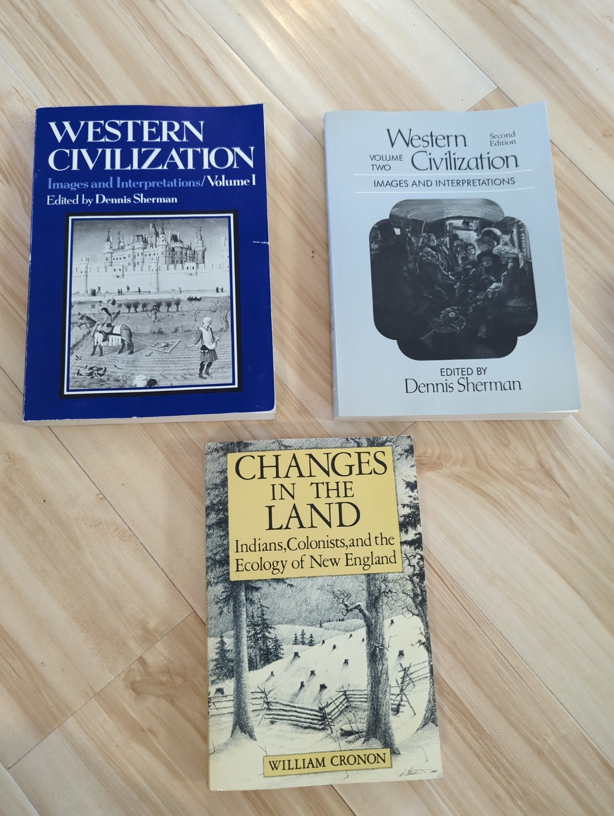 Western Civilization Images & Interpretations Vol 1 &2 by Dennis Sherman +