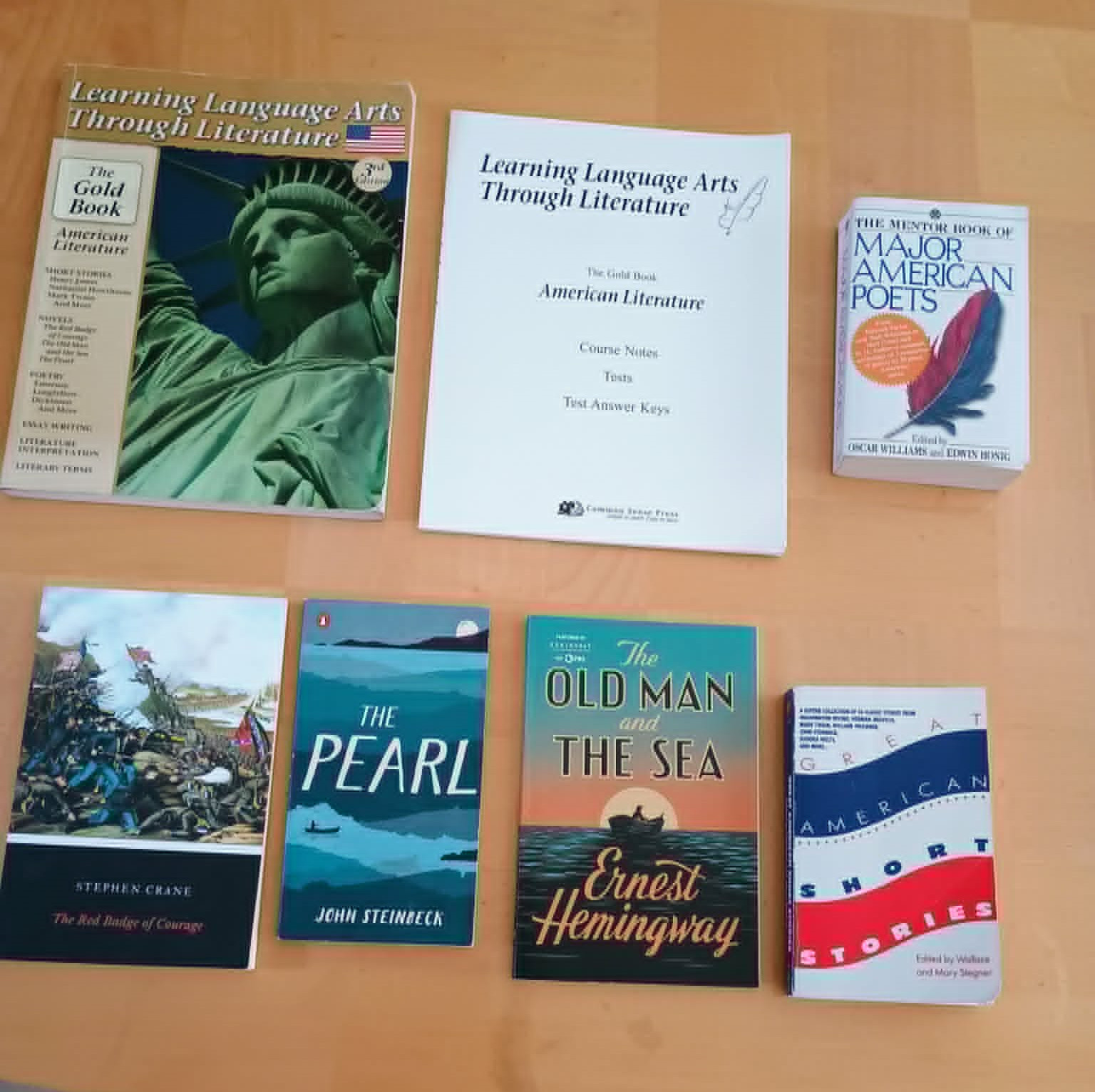 Learning Language Arts Through Literature: American Literature The Gold Book Set